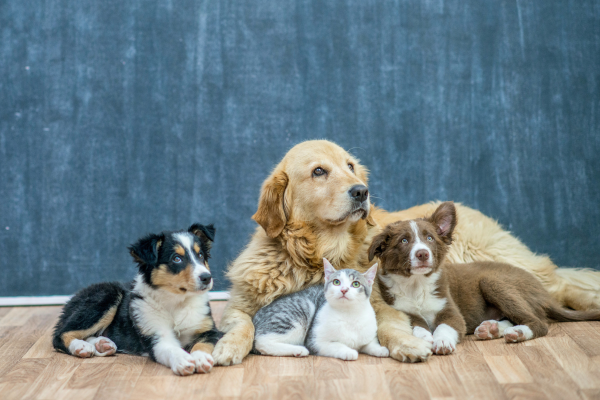 untitled design (23)